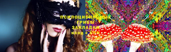 сатива Верхний Тагил
