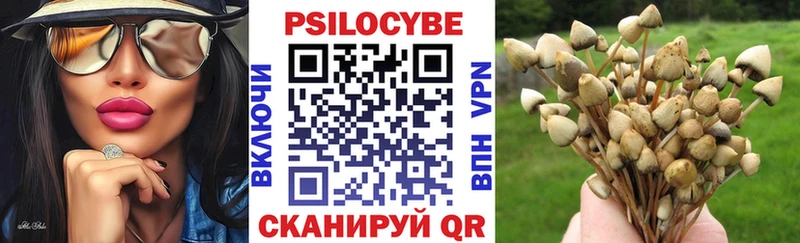 купить   Гаврилов Посад  Псилоцибиновые грибы GOLDEN TEACHER 